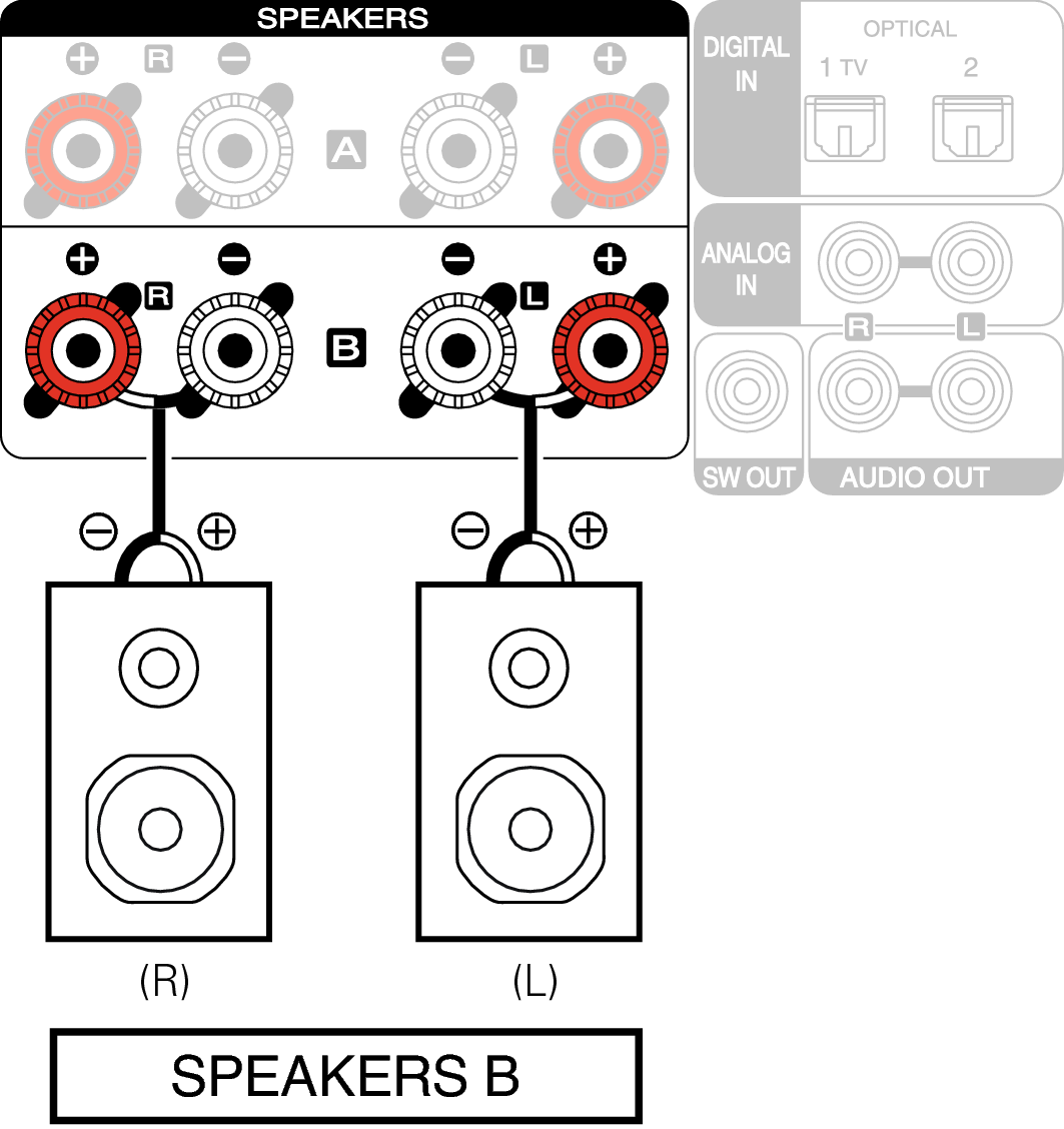 Conne SP B MCR612